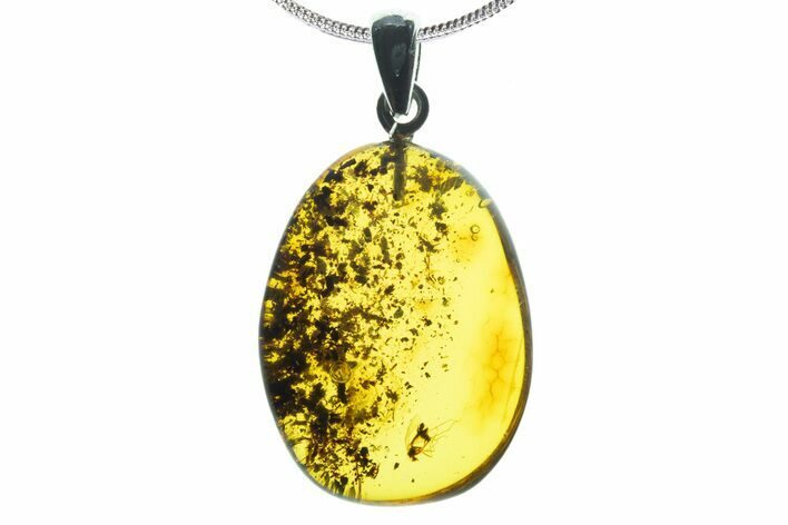 Polished Baltic Amber Pendant (Necklace) - Fly & Plant Debris! #339481